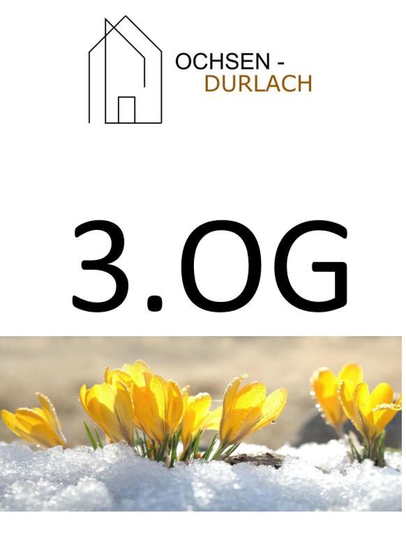 Ochsen-Durlach Karlsruhe Camera foto